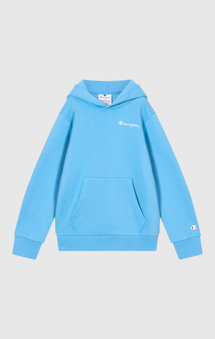 Sweat À Capuche À Intérieur Gratté Avec Petit Logo Brodé Icons Garçon