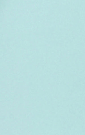 Women’s Quick Dry Shorts