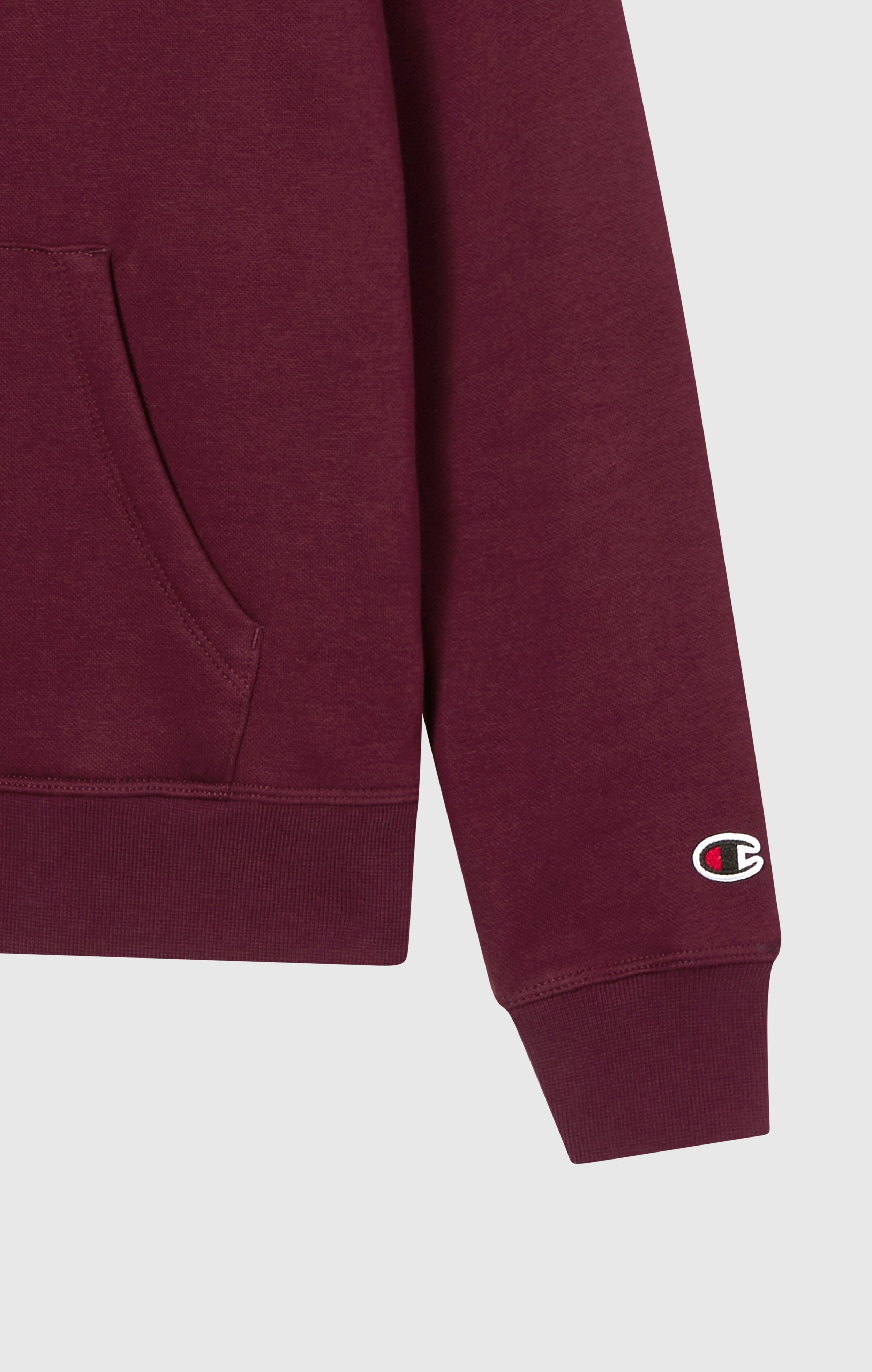 Women’s Fleece Hoodie with Big Embroidered Logo Icons