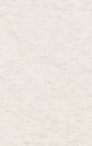 Women’s Lightweight Crewneck Sweatshirt with Tonal Embroidered “C” Logo Icons