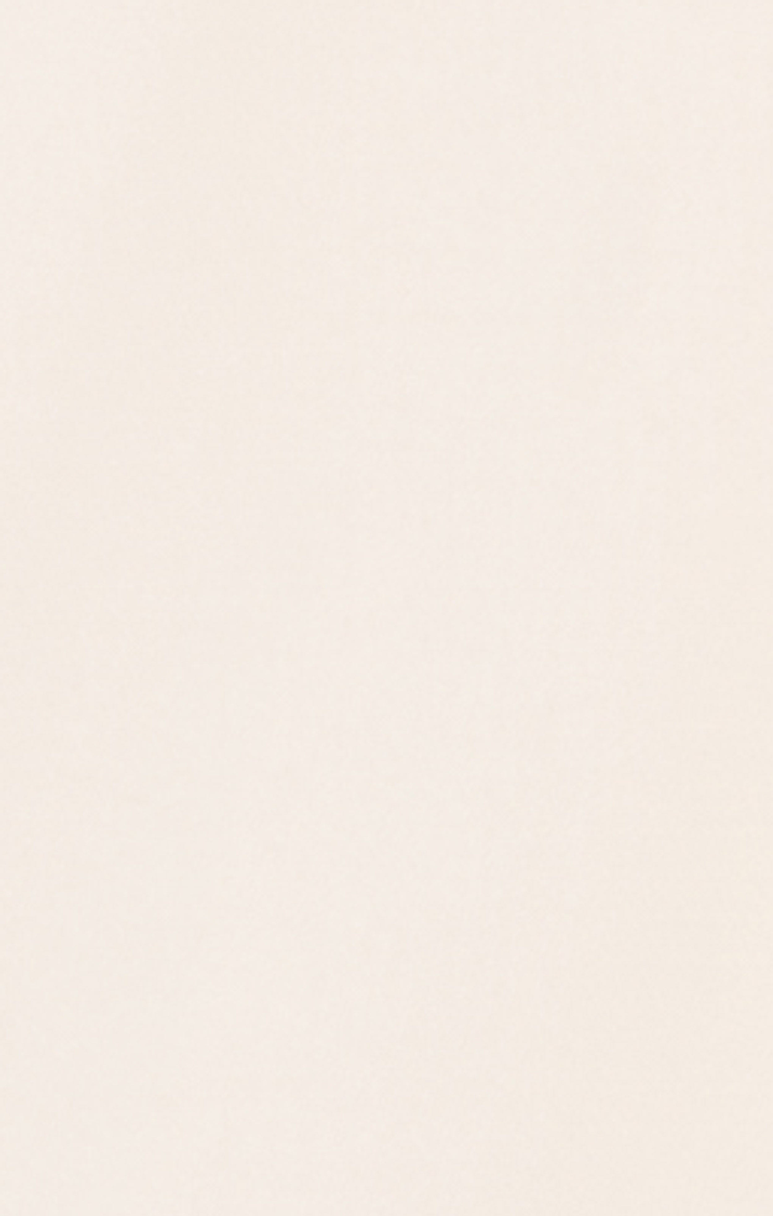 Damen East West Cropped Sweatshirt mit Rundhalsausschnitt