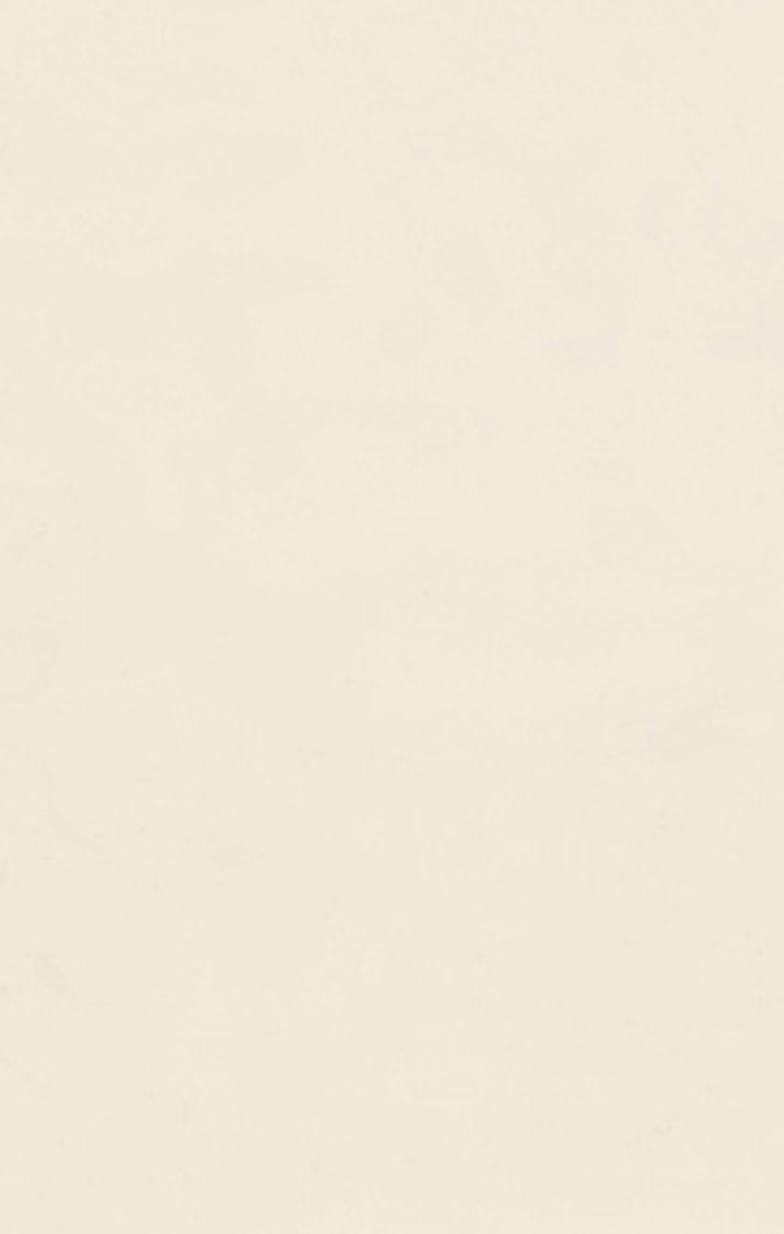 Women’s East West Flare Pants