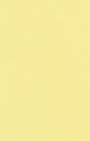 Women’s Crewneck T-Shirt with Contrast Logo