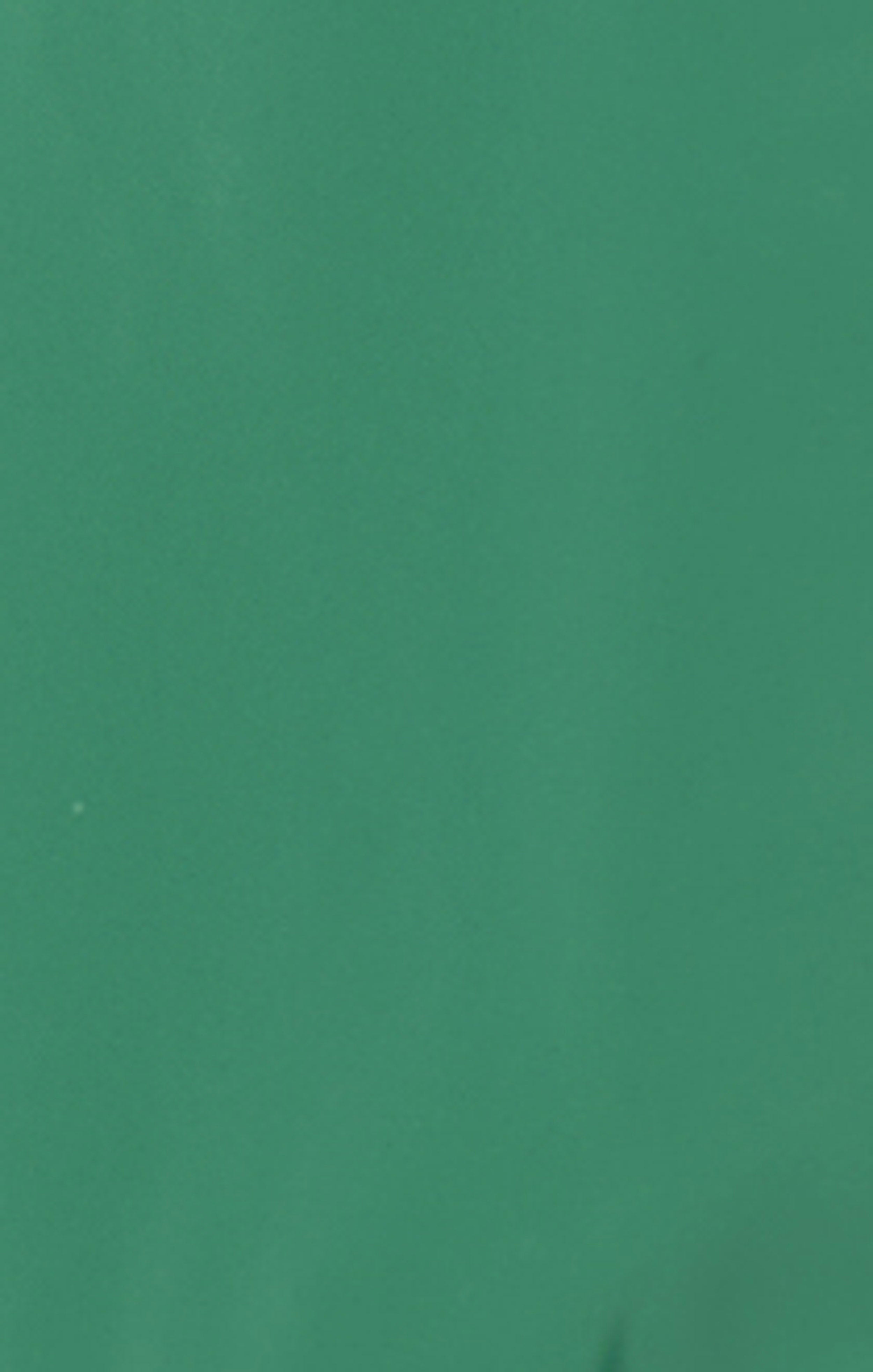 Women’s Hooded Bomber Jacket