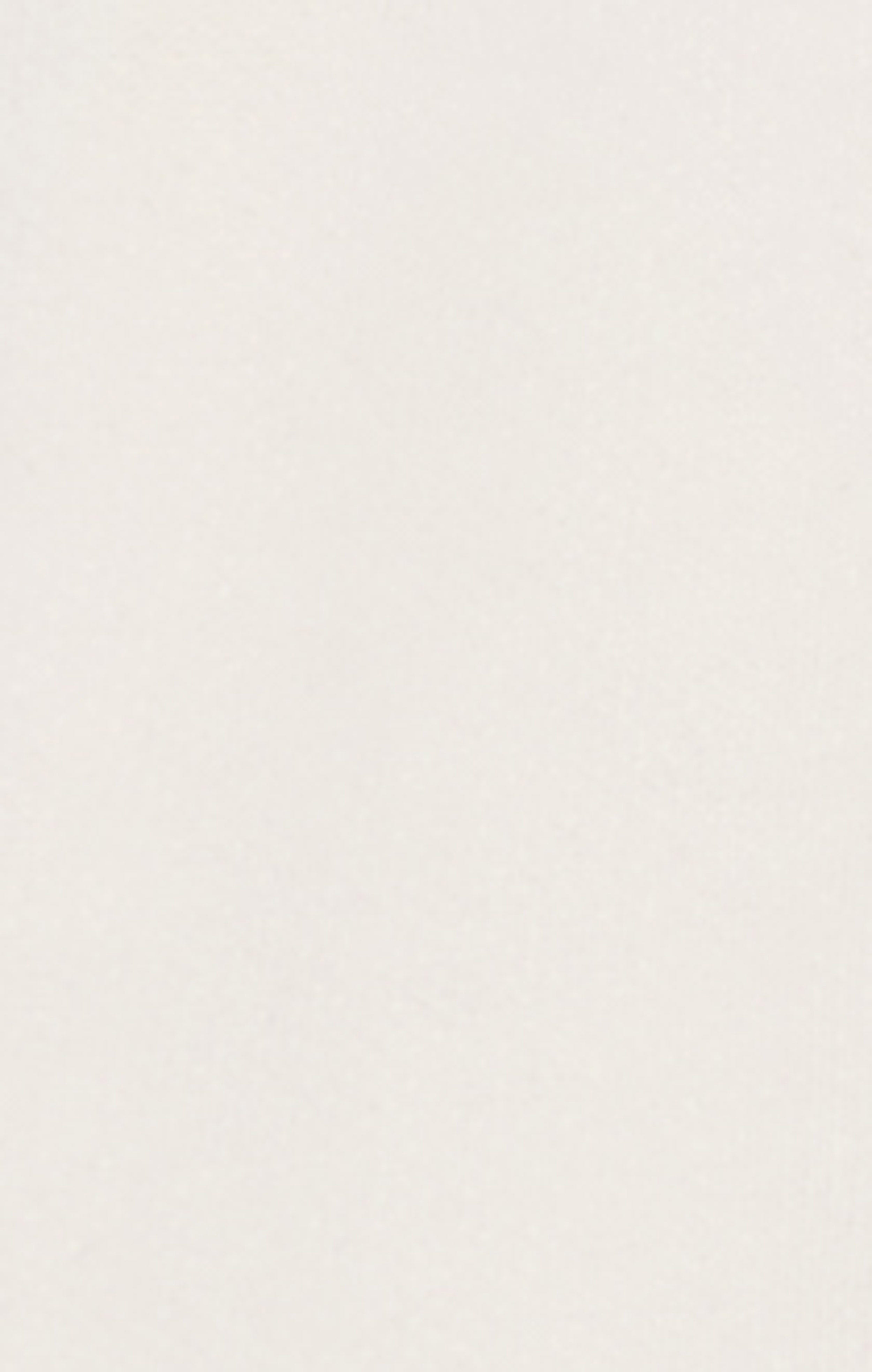 Women’s Cargo Bermuda Icons