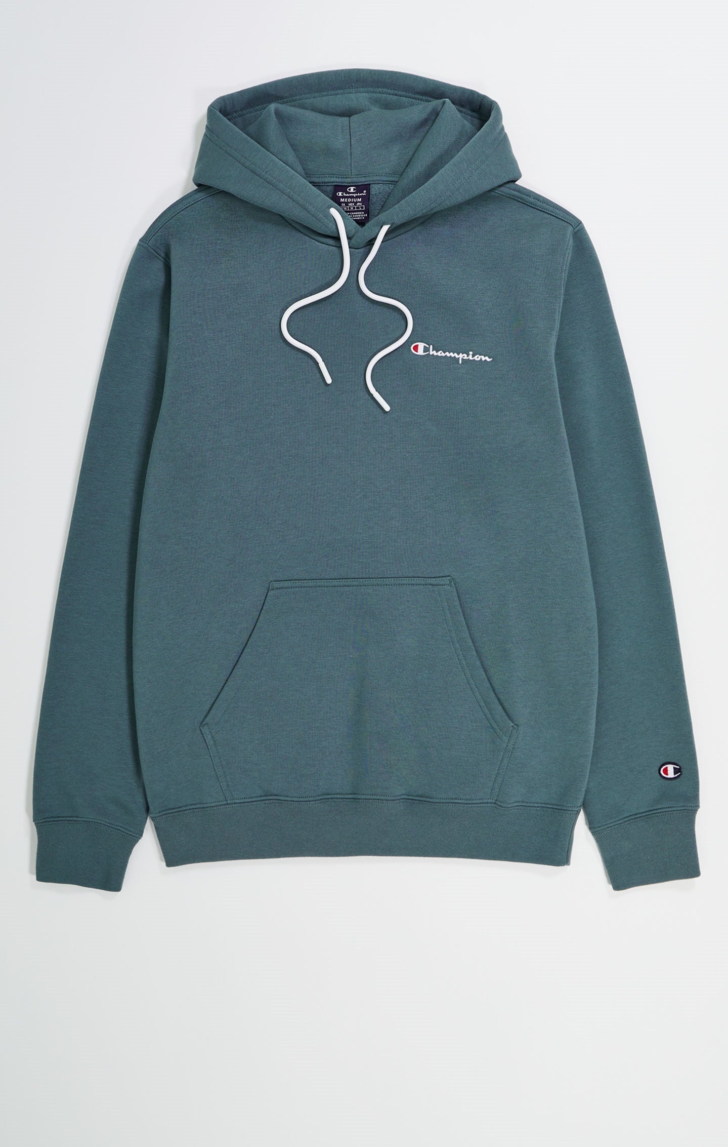 Small Script Logo Fleece Hoodie
