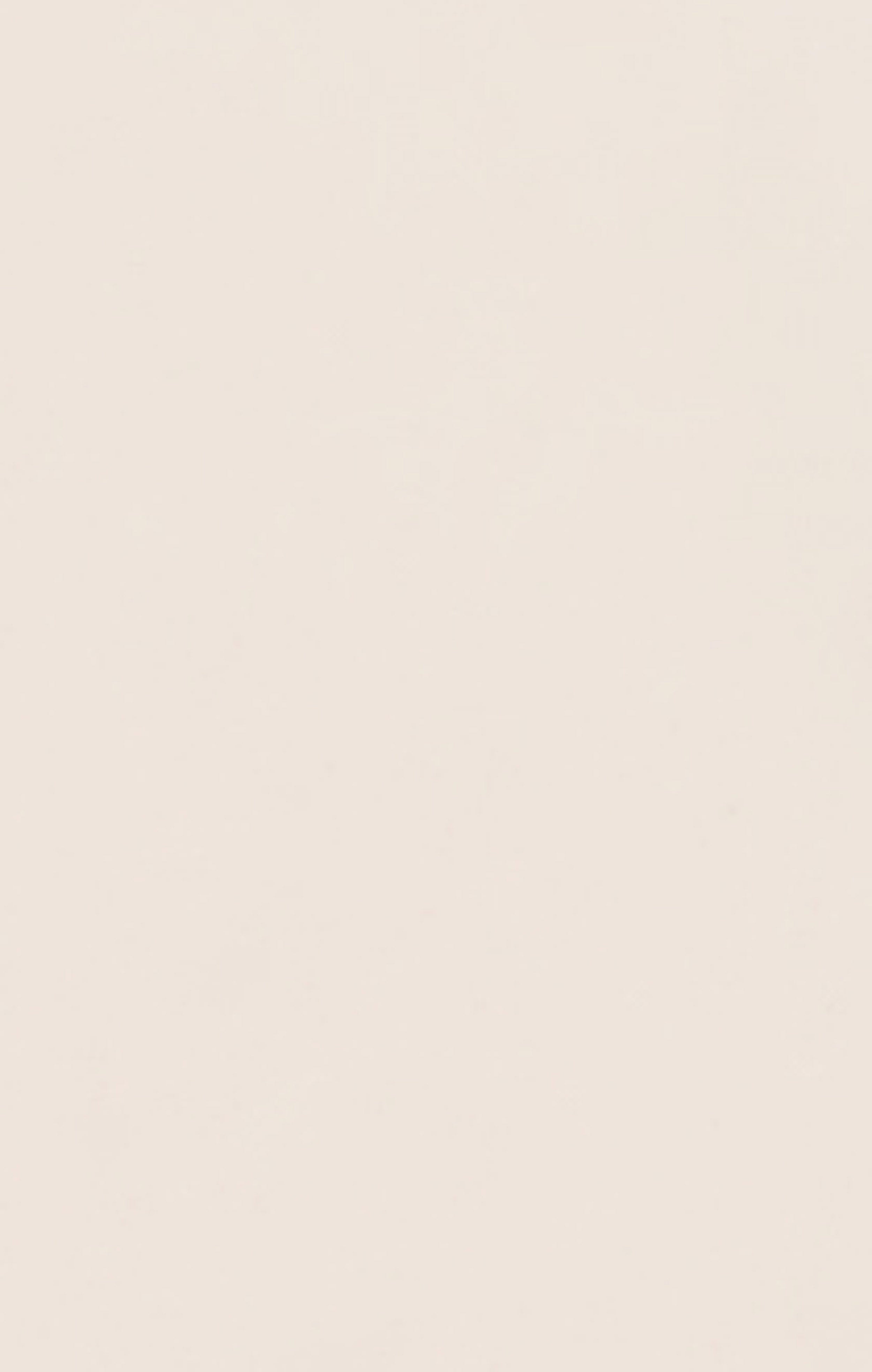 Herren T-Shirt Mit Kleinem C Gesticktem Logo Icons