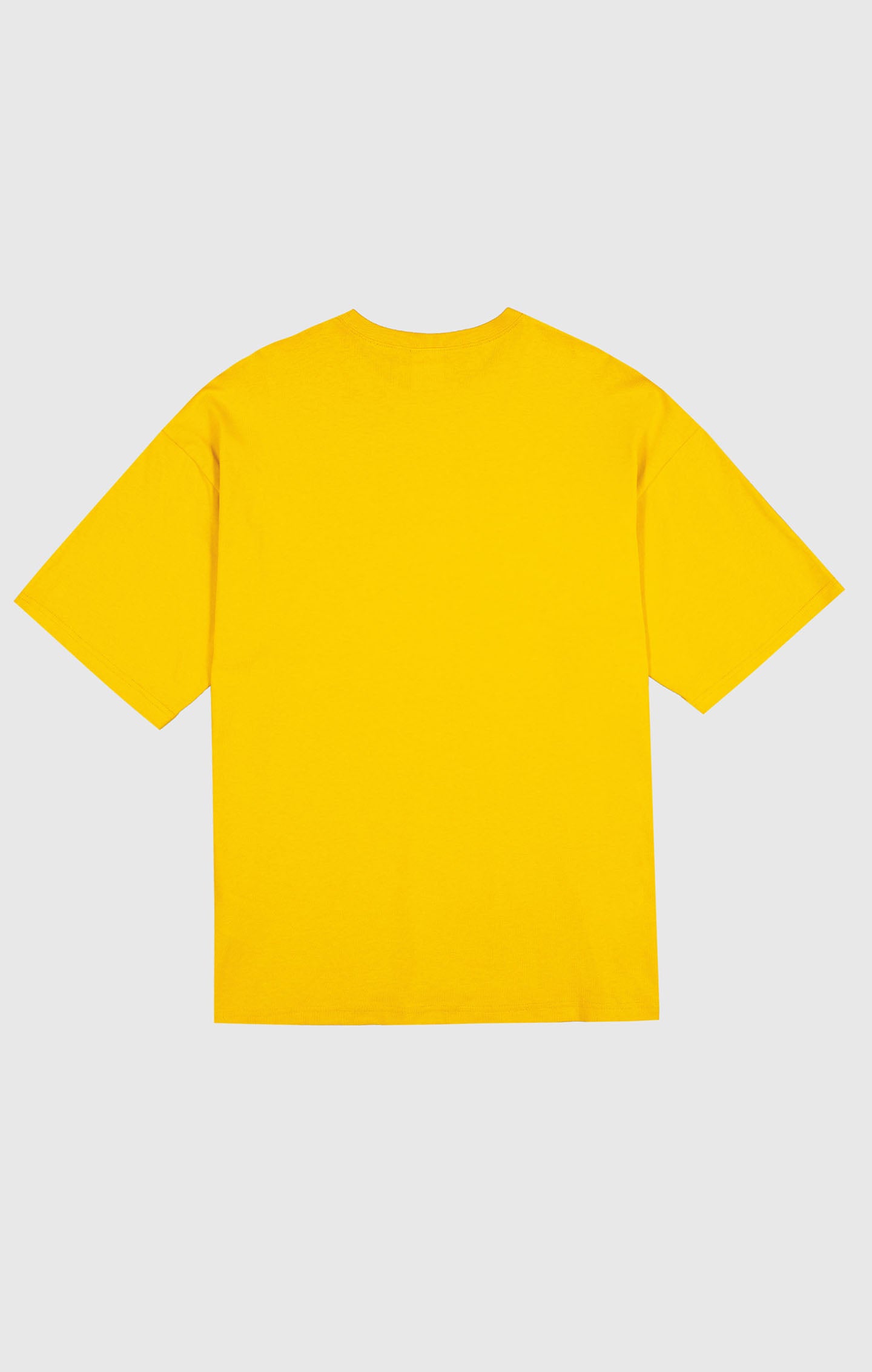 Men's T-Shirt in Heavy Cotton Jersey