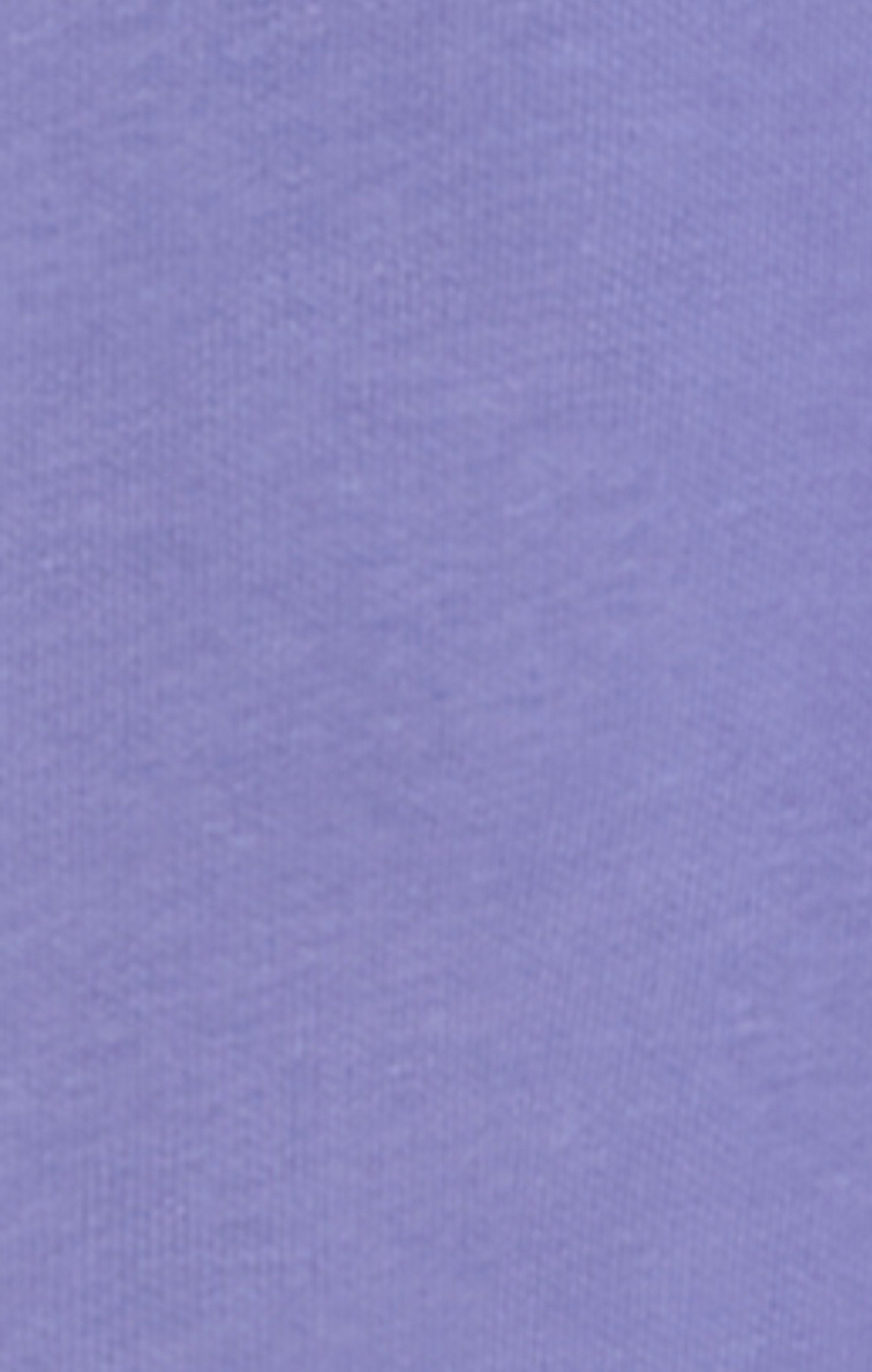 Sweat à Capuche Léger avec Logo Brodé Icons Homme