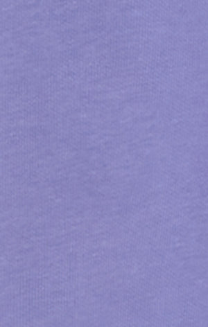 Sweat à Capuche Léger avec Logo Brodé Icons Homme