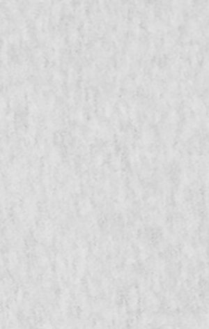 Reverse Weave Men's Loose Fit Hoodie