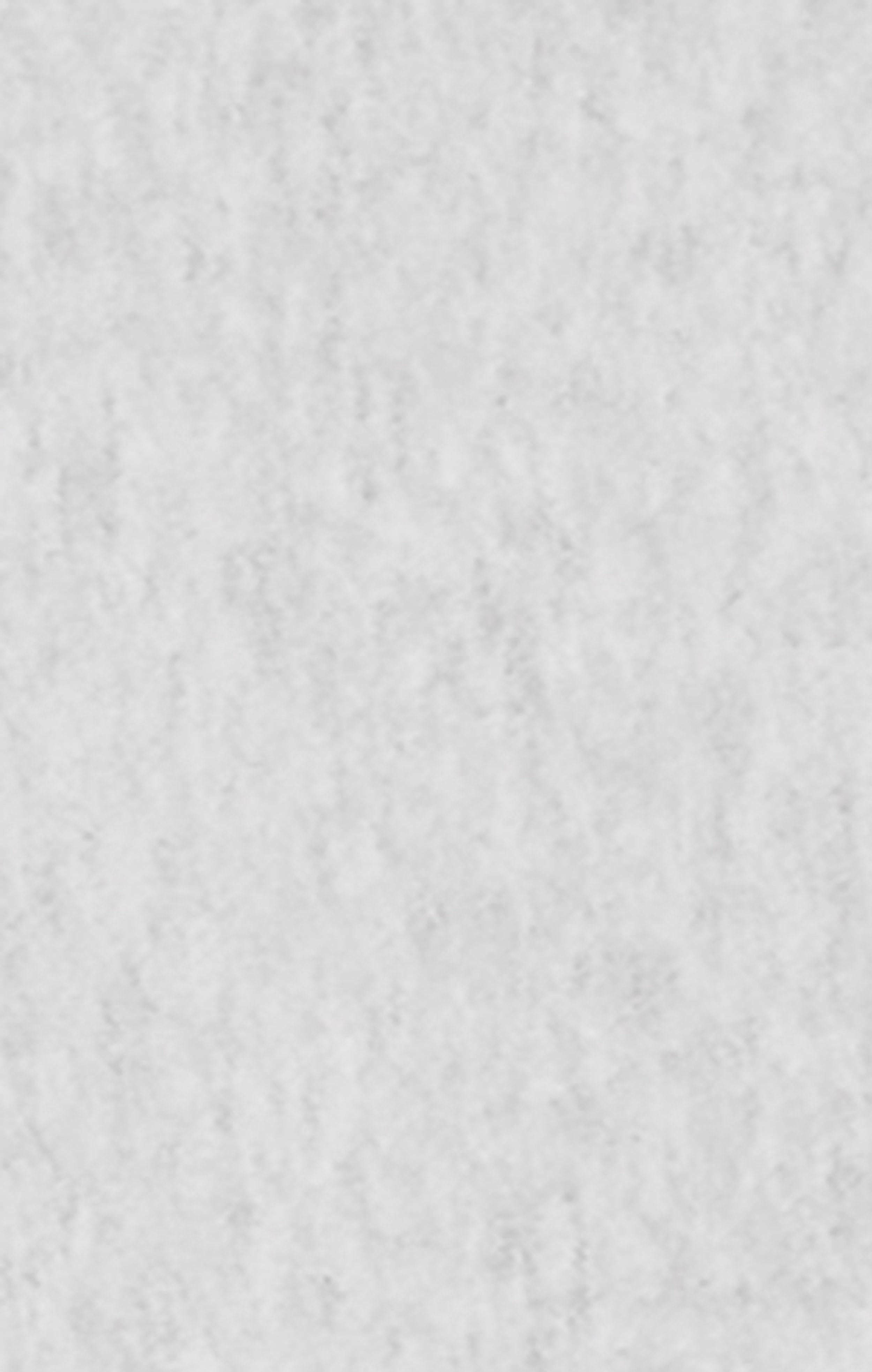 Herren-Hoodie aus leichtem Reverse Weave