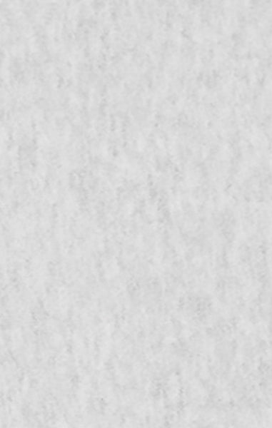 Reverse Weave Men's Loose Fit Hoodie