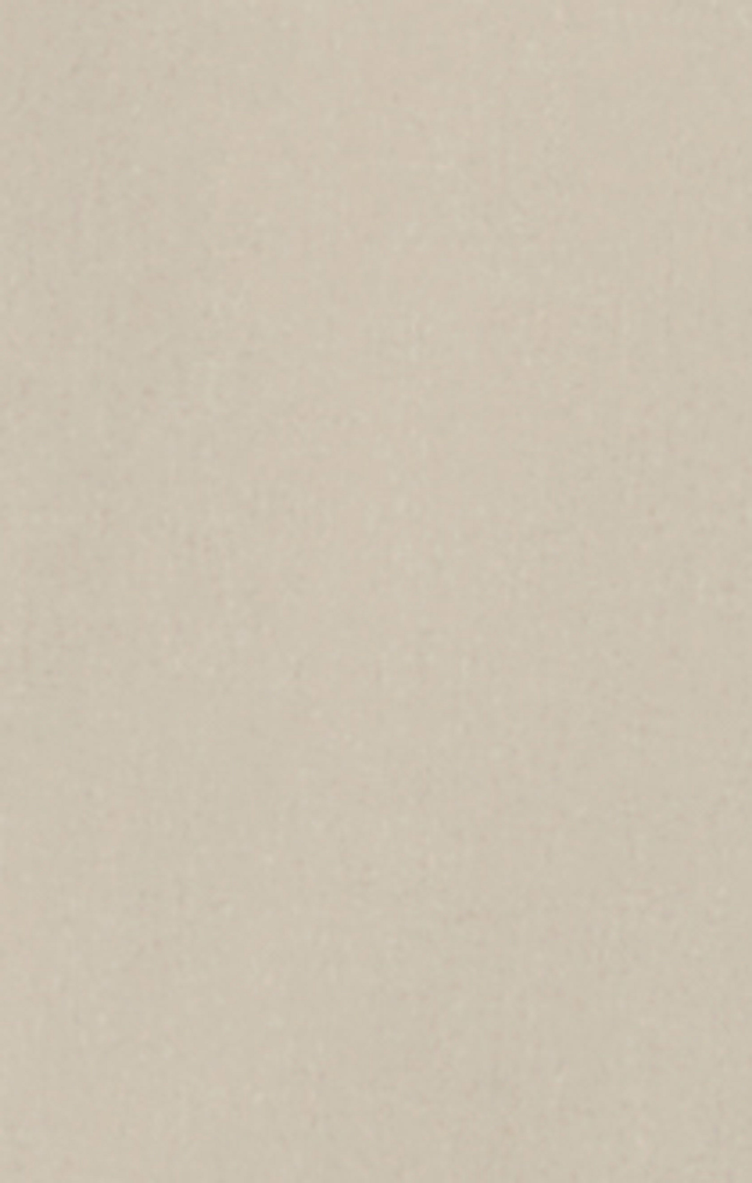 Men’s Quick Dry Shorts