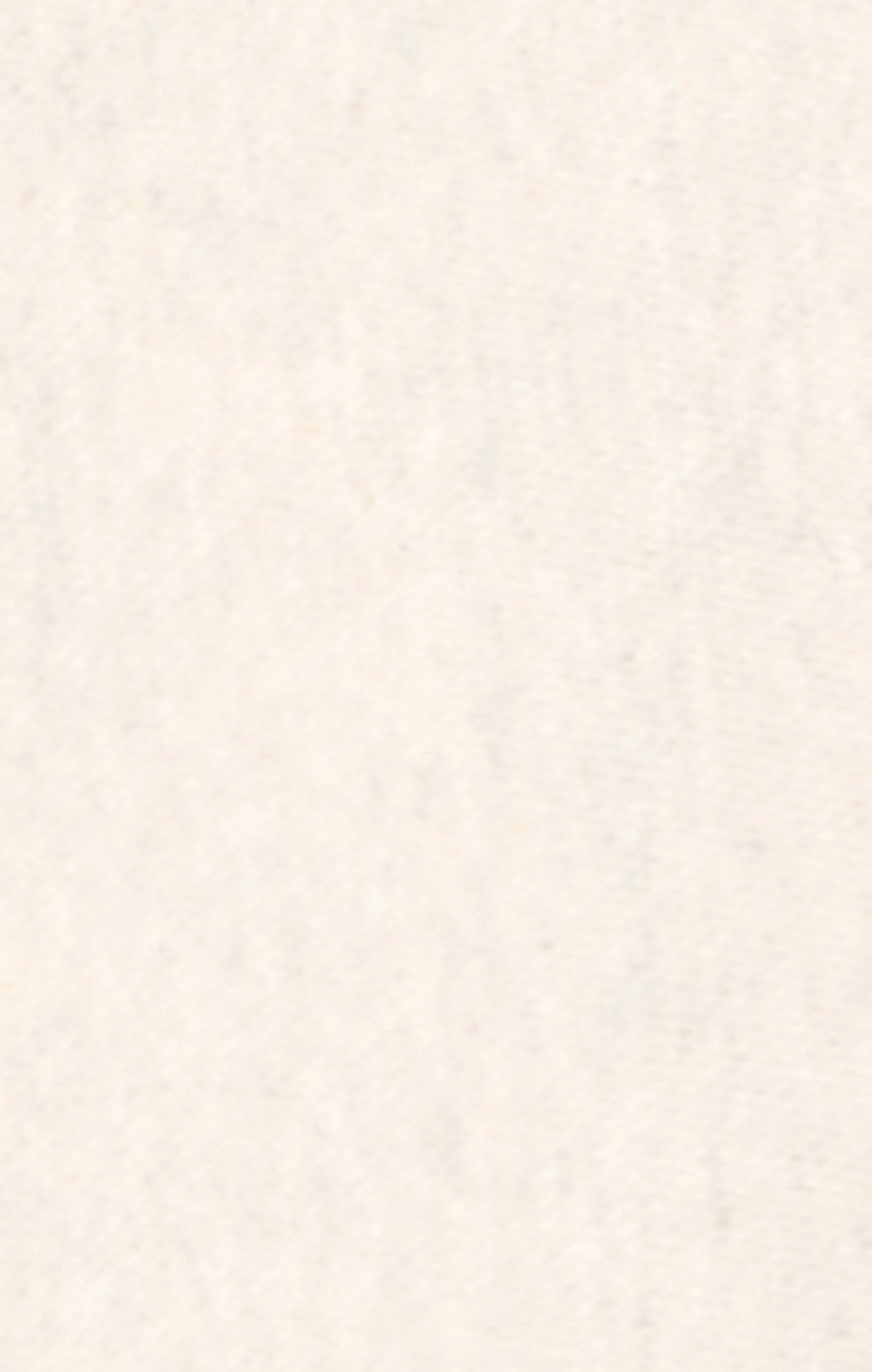 Sweat à Capuche Léger pour Homme Reverse Weave