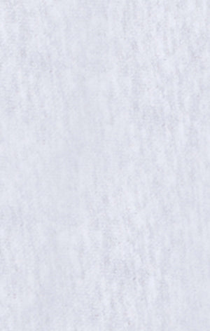 Men’s Lightweight Crewneck Sweatshirt Reverse Weave