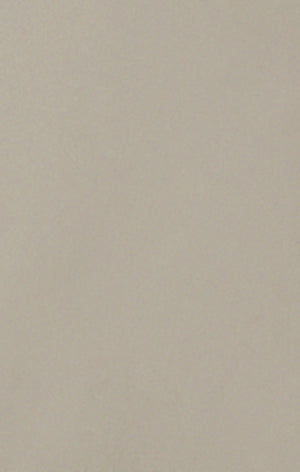 Pantalon Cargo Homme En Nylon Stretch C-Tech