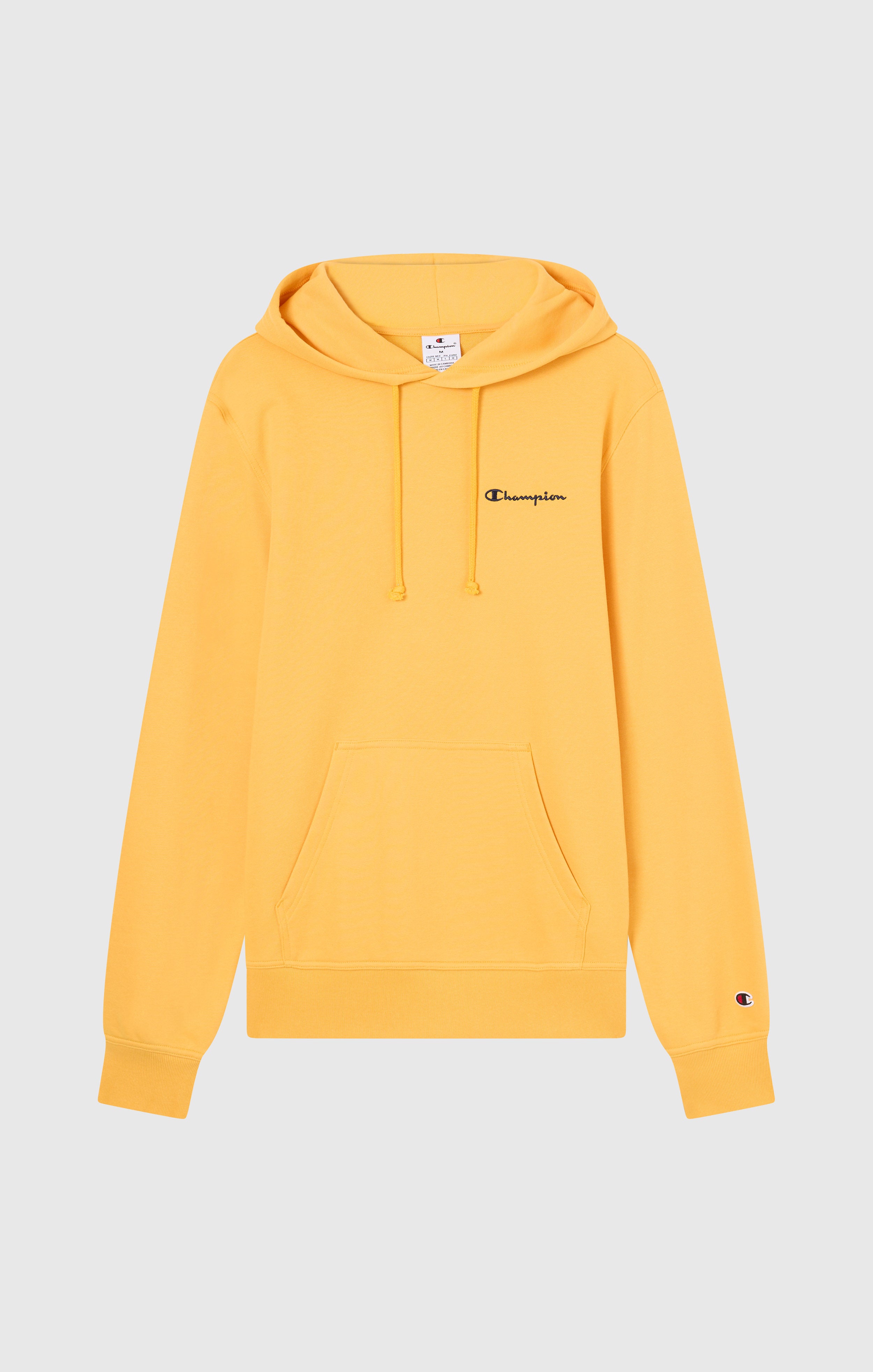 Sweat Léger à Capuche avec Petit Logo Brodé pour Homme Icons