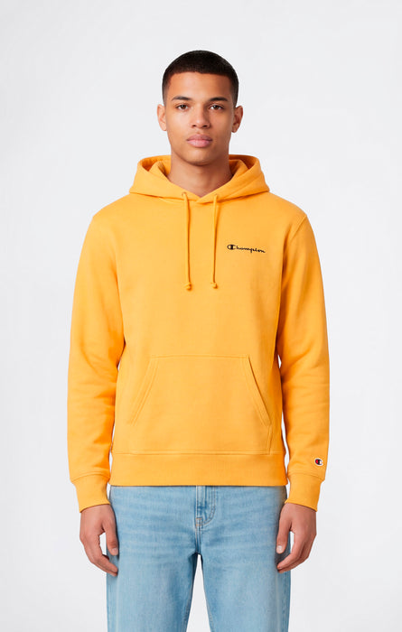 Leichter Hoodie mit Kleinem Gesticktem Logo für Herren Icons