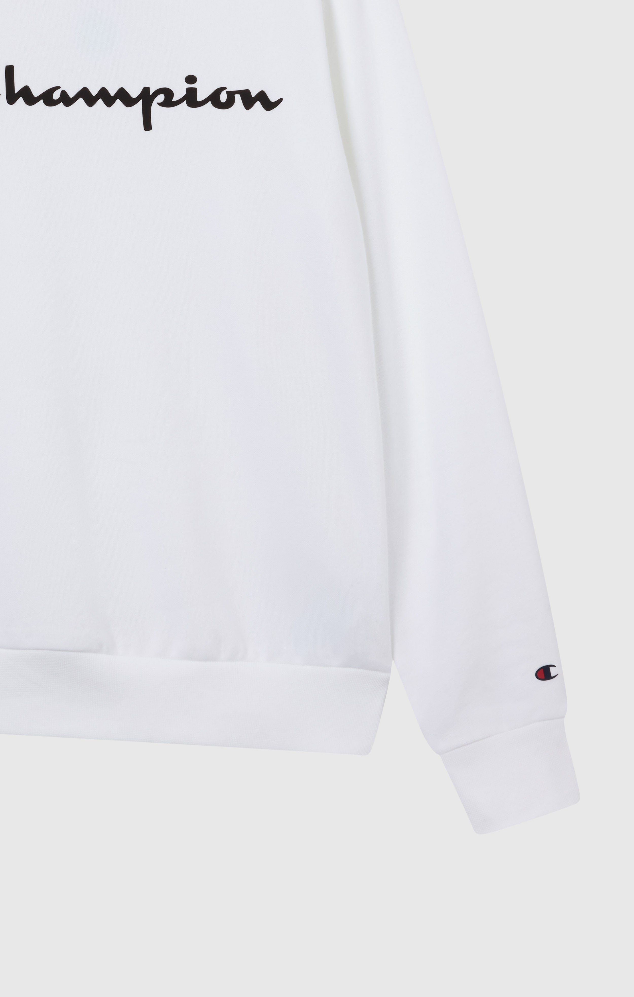 Men’s Fleece Crewneck Sweatshirt Script Logo