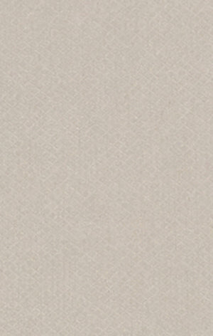 Men’s Quick Dry Mesh Shorts