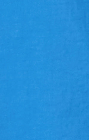 Herren 5” Badeshorts aus Nylon