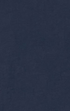 Herren 5” Badeshorts aus Nylon