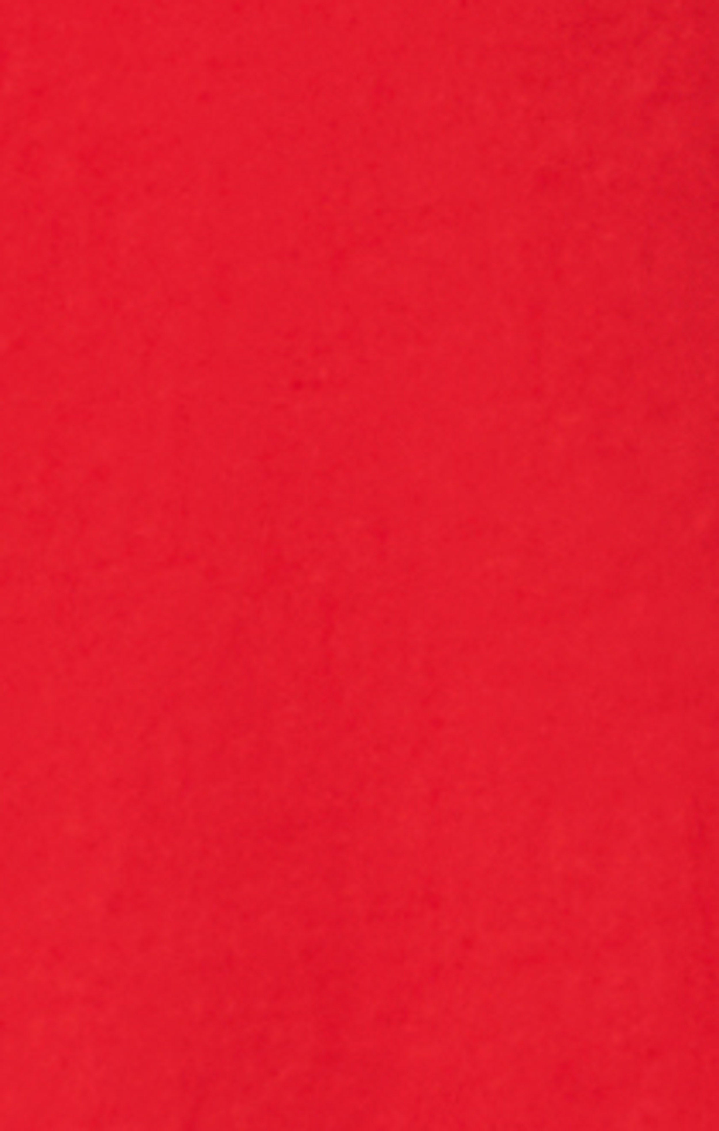 Herren 5” Badeshorts aus Nylon