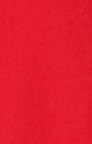 Herren 5” Badeshorts aus Nylon