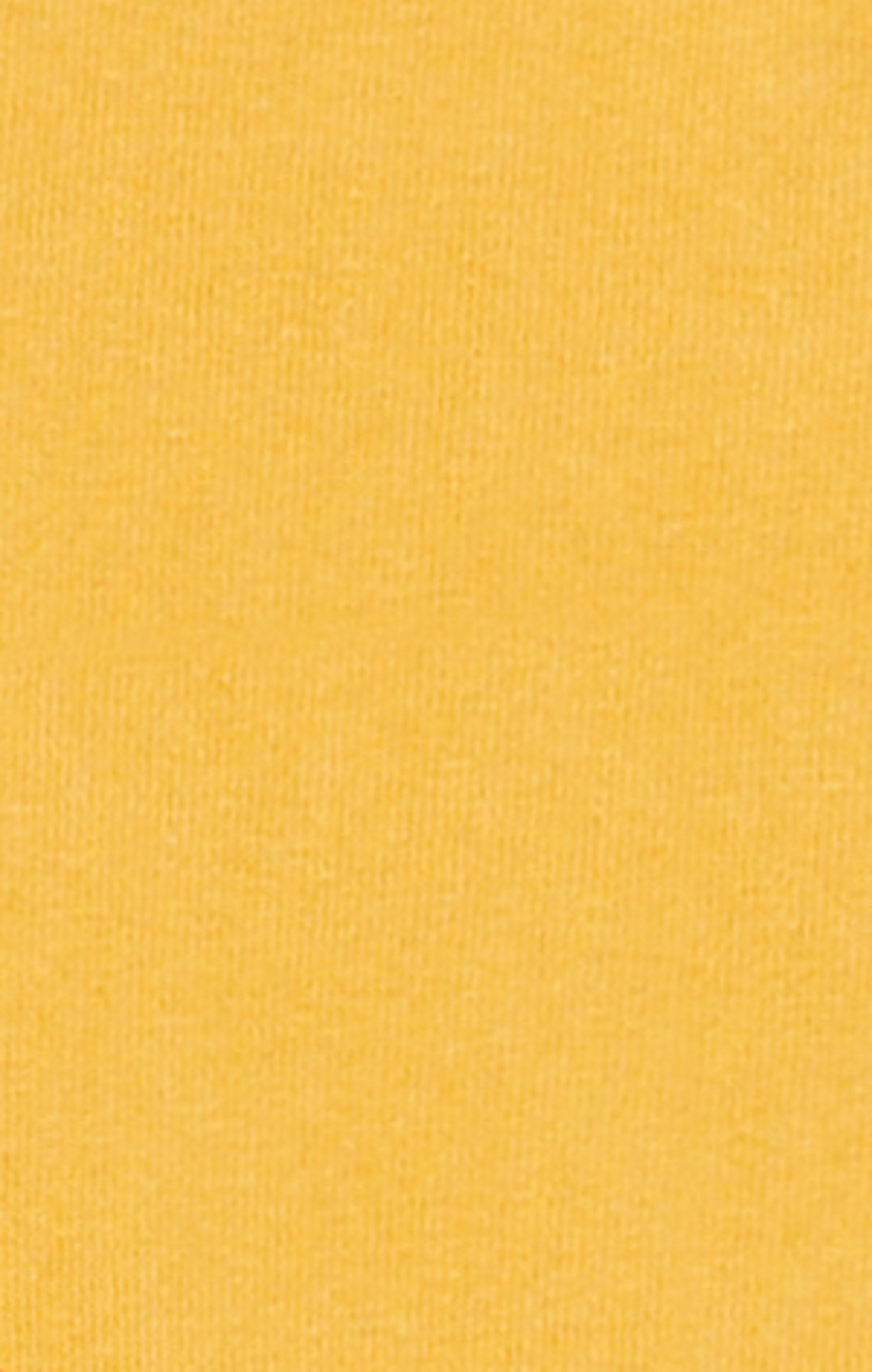 Men’s Collegiate-Inspired Crewneck T-Shirt Time Capsule