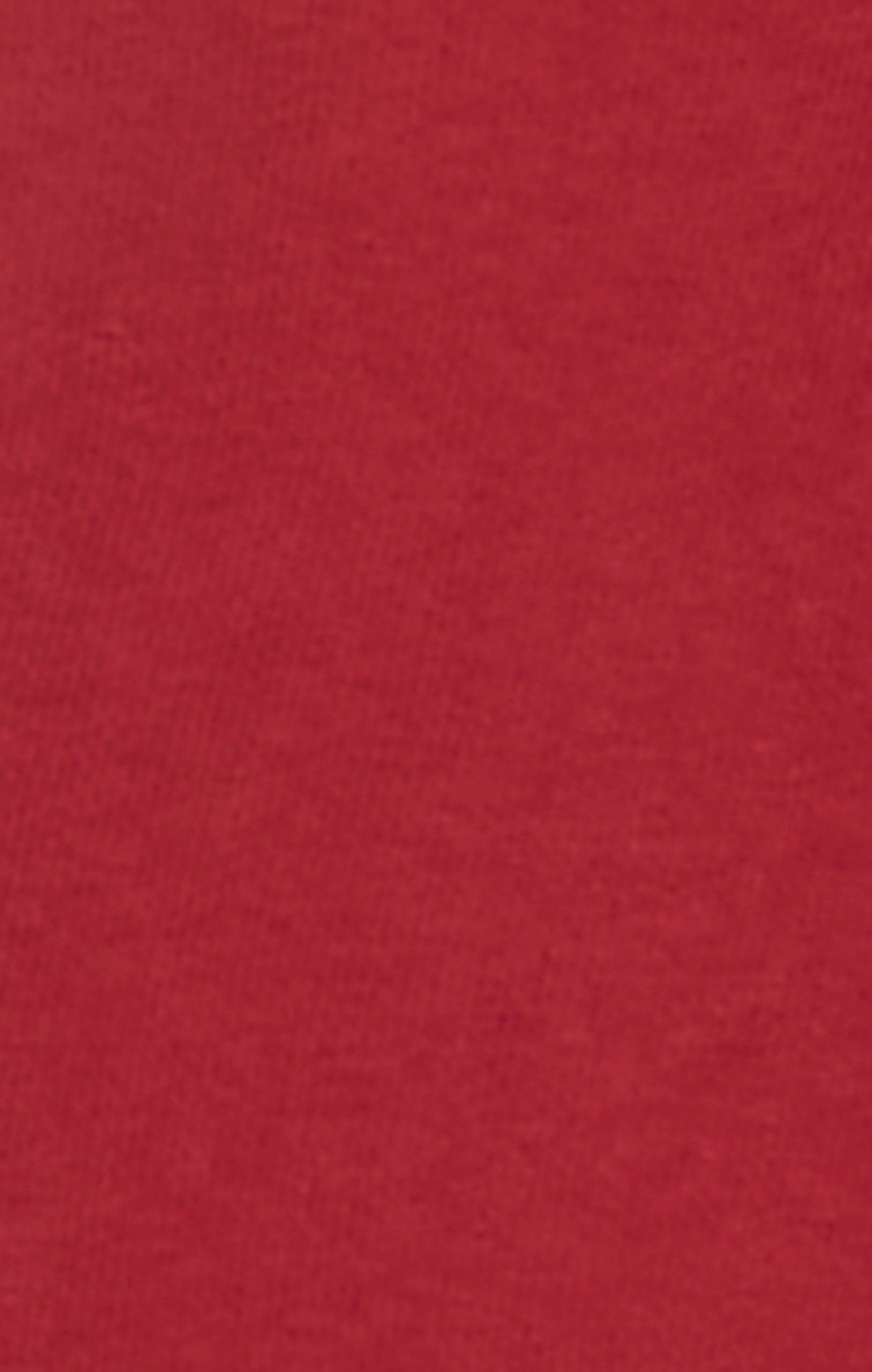 Men’s Heavyweight Crewneck Sweatshirt with Brushed Interior and Print Reverse Weave