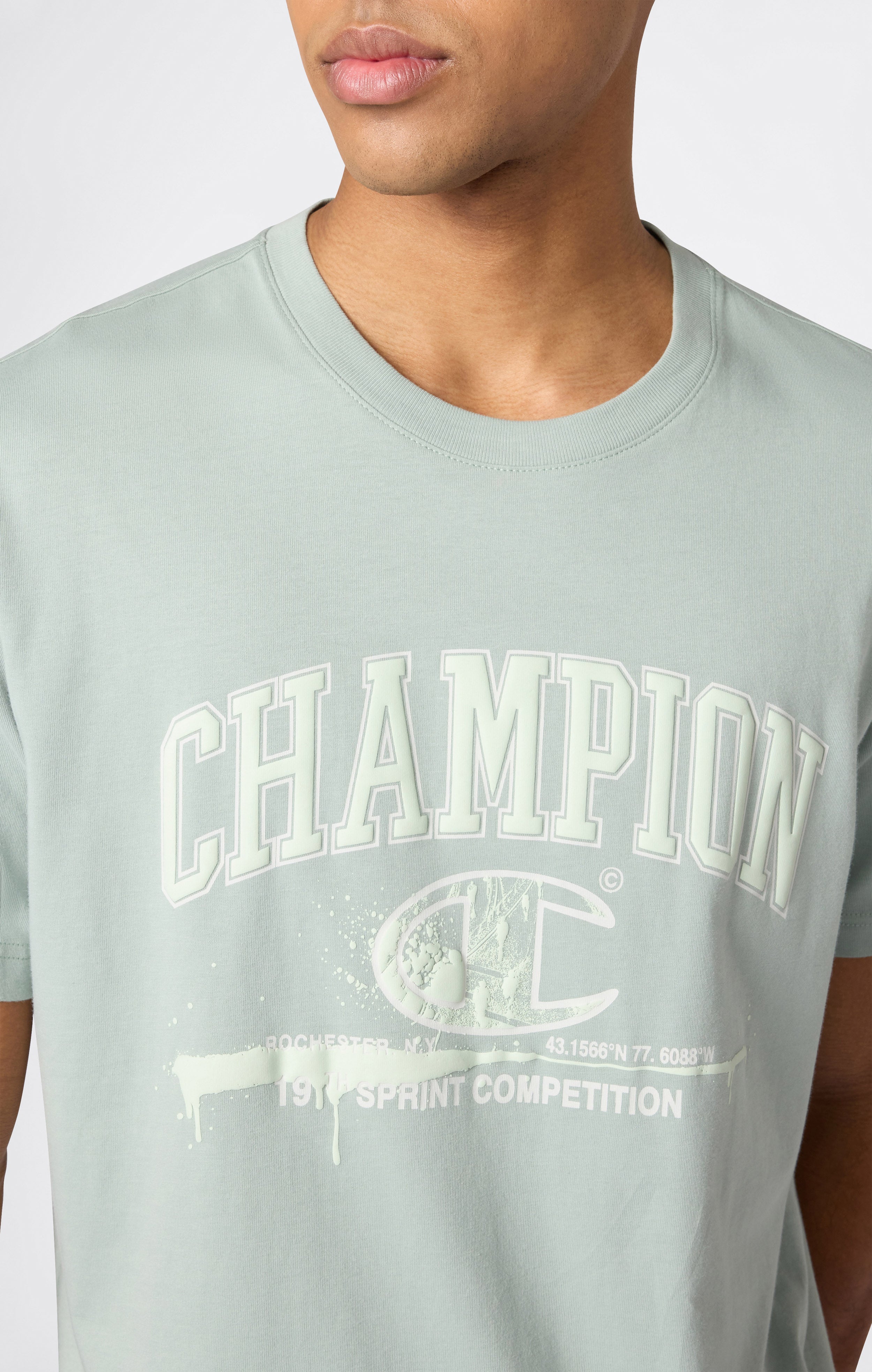 Men’s Crewneck T-Shirt With Puff Print Graphic