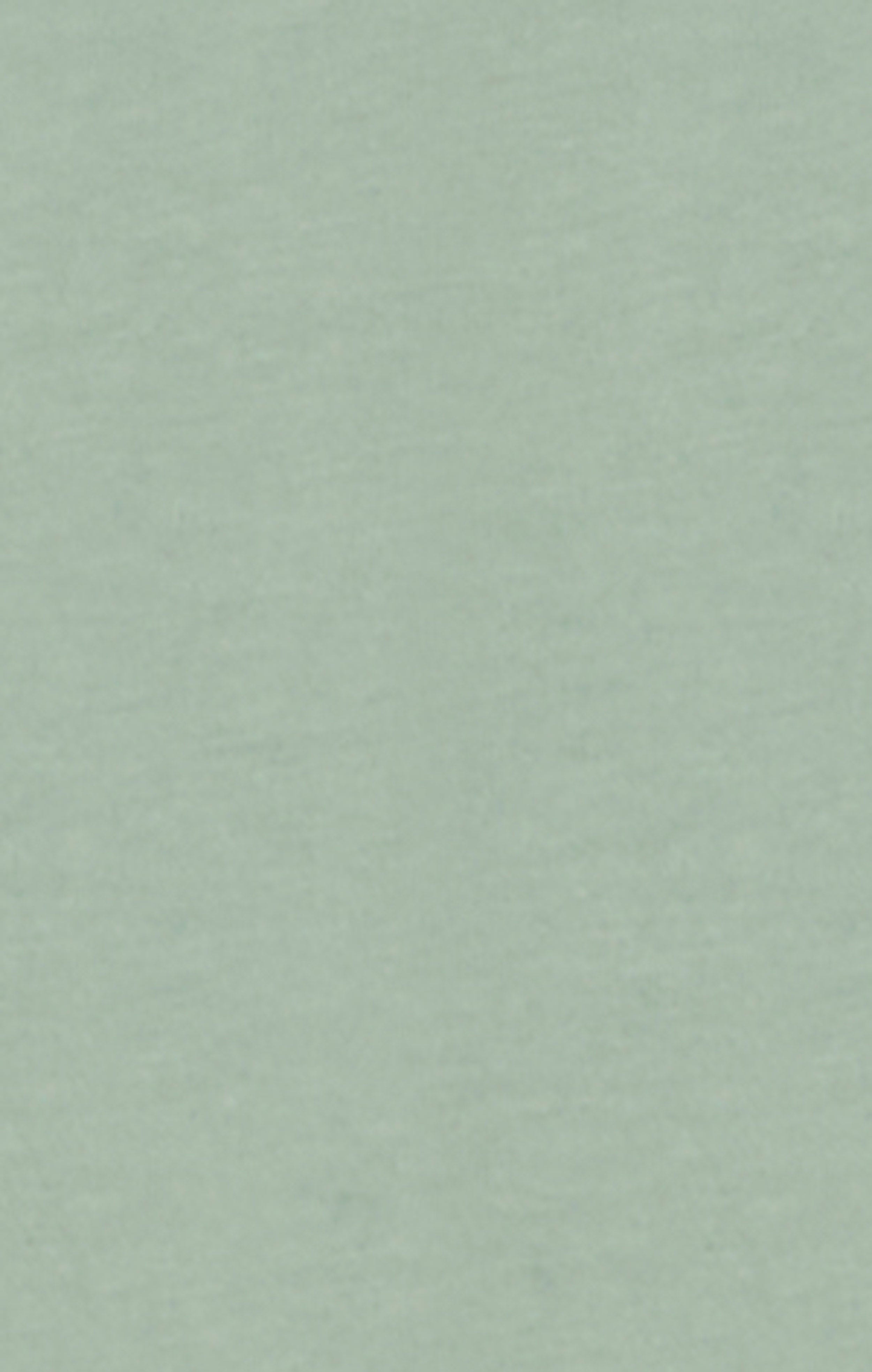 Men’s Crewneck T-Shirt With Puff Print Graphic