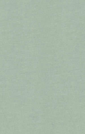 Men’s Crewneck T-Shirt With Puff Print Graphic