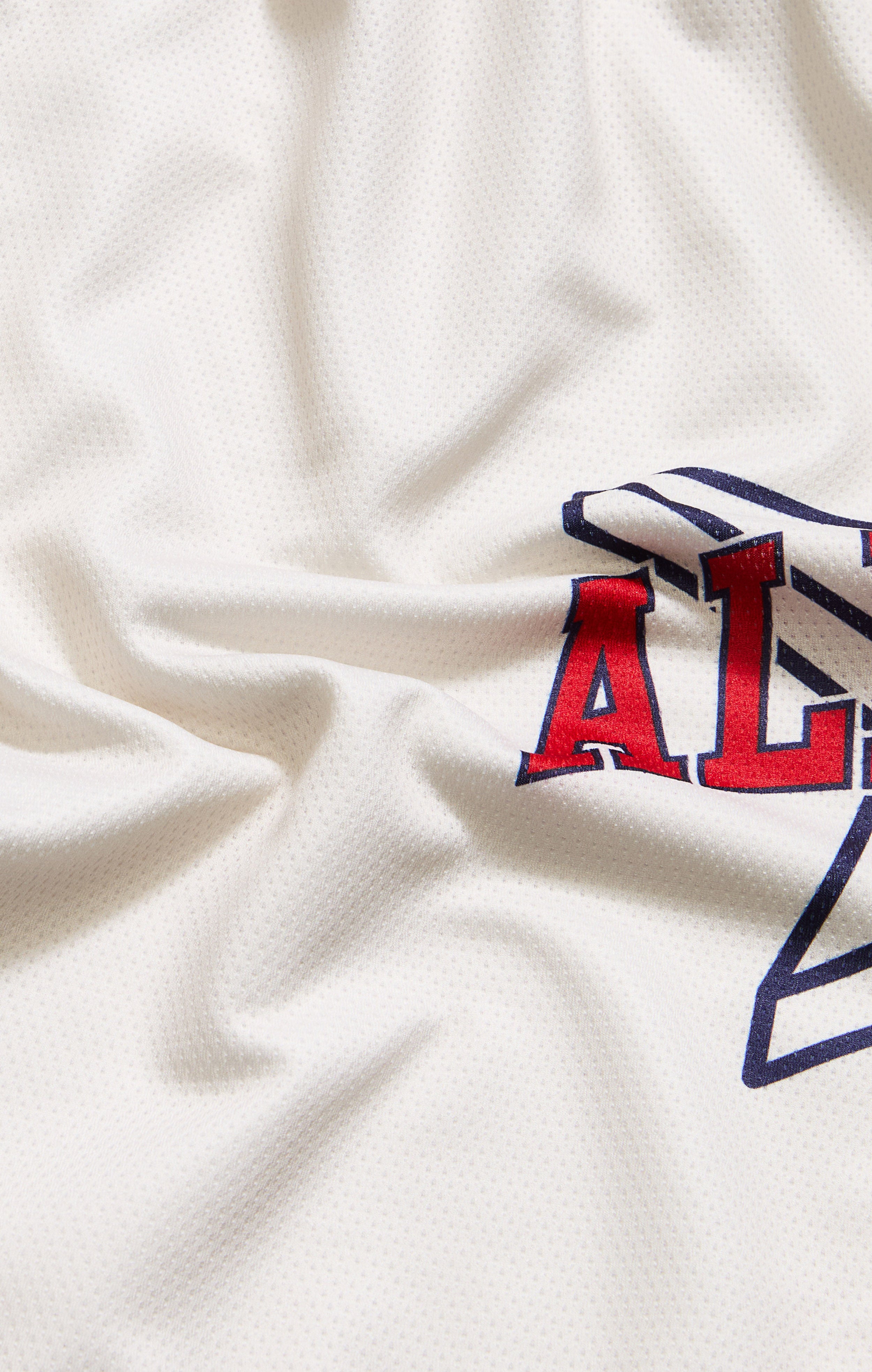 Men’s Basketball Shorts Champion x All Star Game