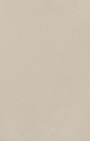 Herren-Shorts aus Stretchgewebe