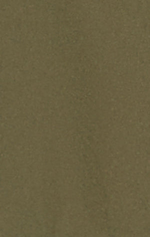 Men’s Stretch Fabric Shorts