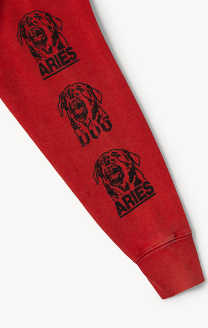 Unisex Graphic Crewneck Sweatshirt Aries x Champion