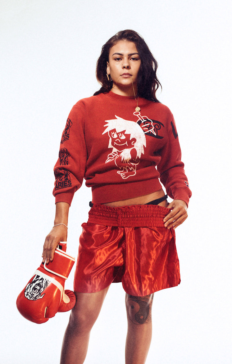 Unisex Graphic Crewneck Sweatshirt Aries x Champion