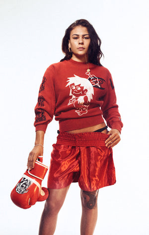 Unisex Graphic Crewneck Sweatshirt Aries x Champion