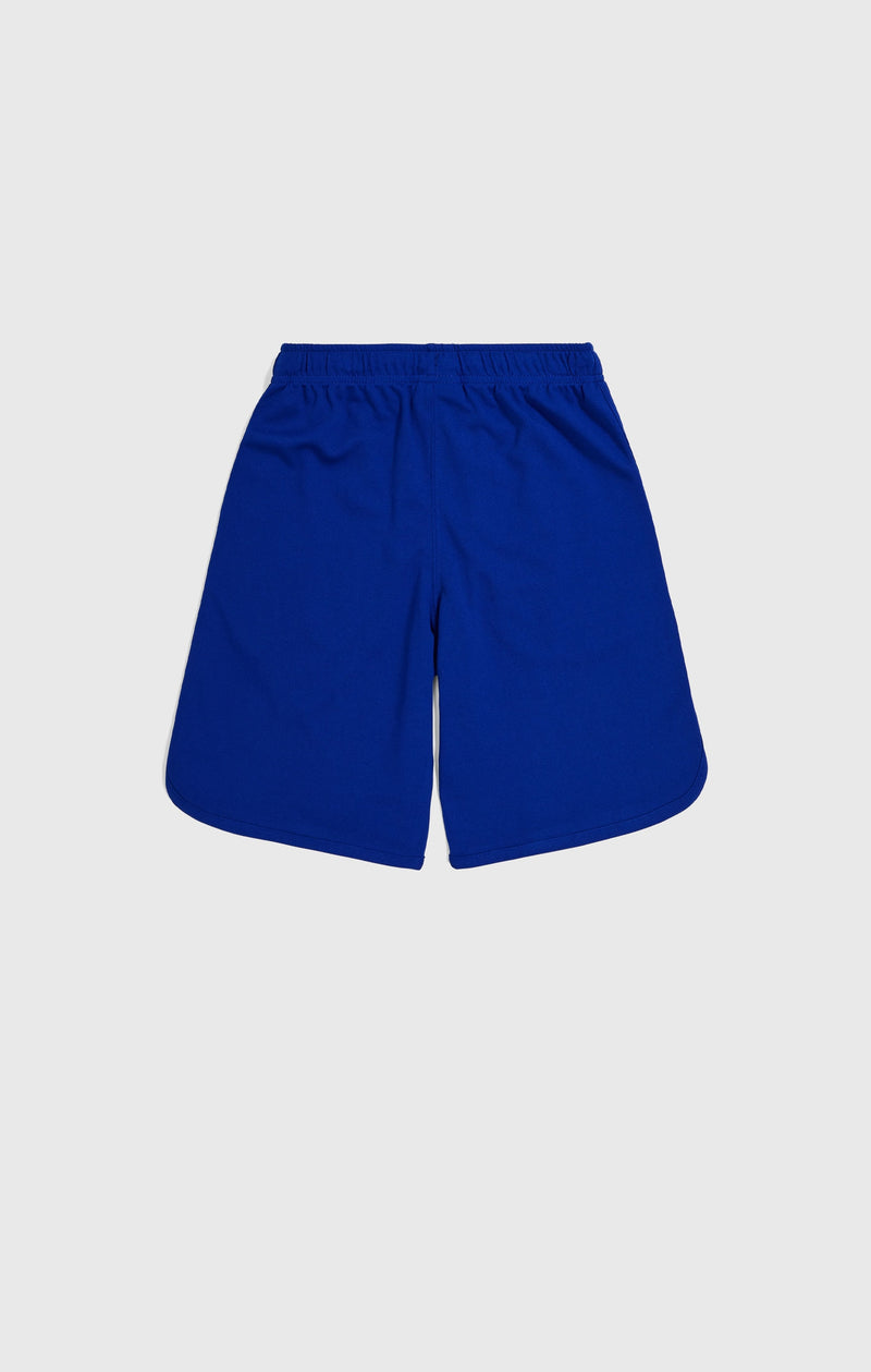 Boys Basketball Shorts