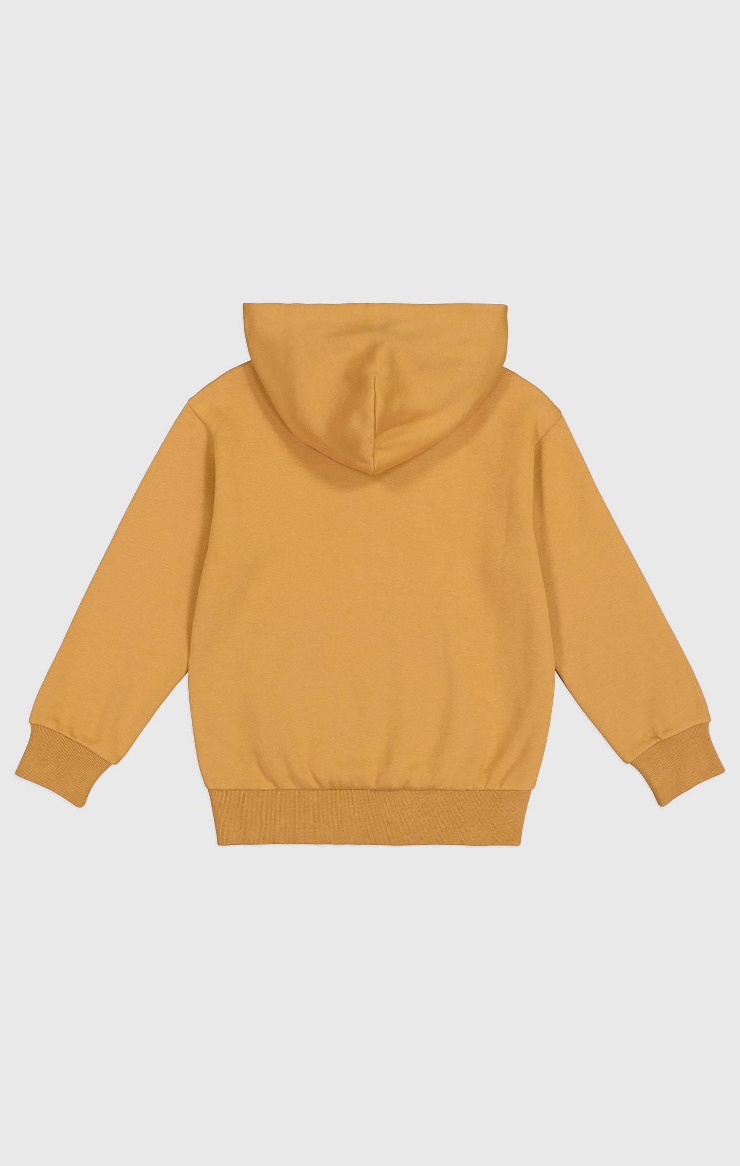 Boys Athletic Hoodie