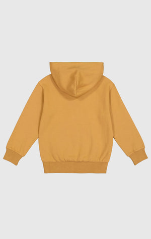 Boys Athletic Hoodie