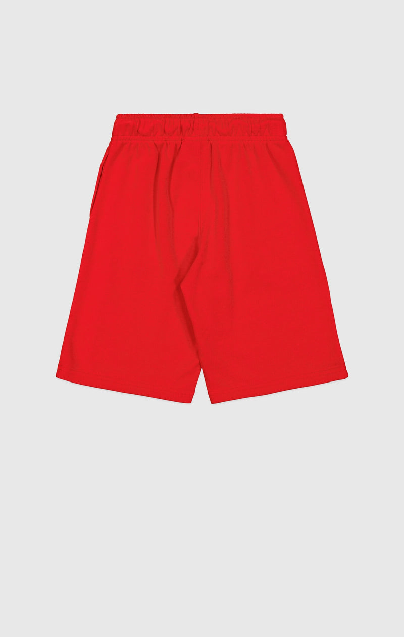 Boys' Ultra-Lightweight Icons Shorts with Large Embroidered Logo on the Leg