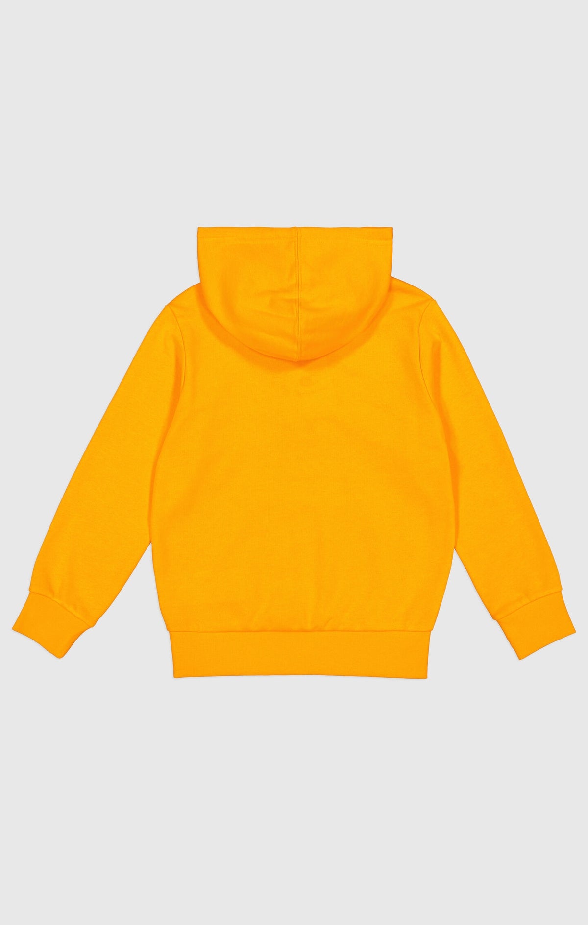 Sweat à Capuche Ultraléger Icons avec Logo Central Brodé Garçons