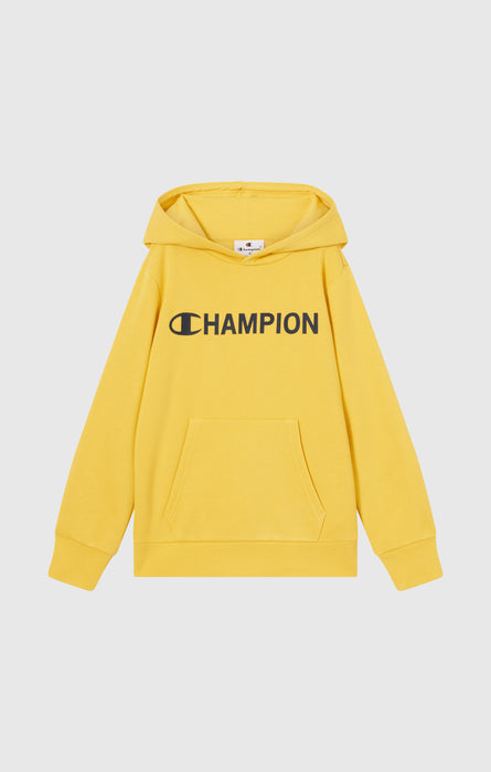 Boys' Fleece Hooded Sweatshirt Graphic