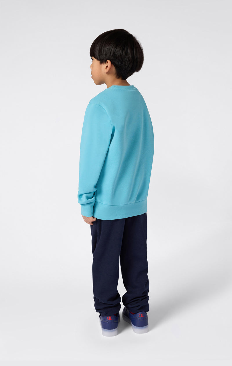 Boys' Fleece Crewneck Sweatshirt Graphic