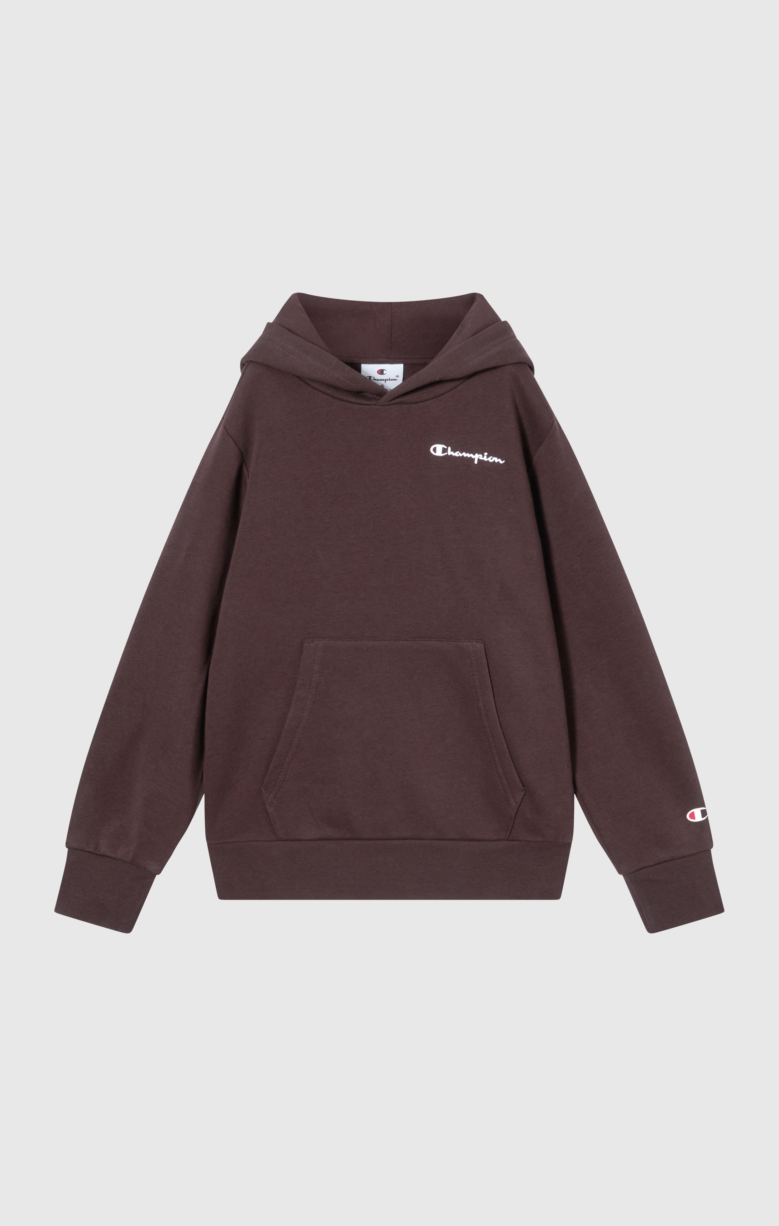 Sweat À Capuche À Intérieur Gratté Avec Petit Logo Brodé Icons Garçon