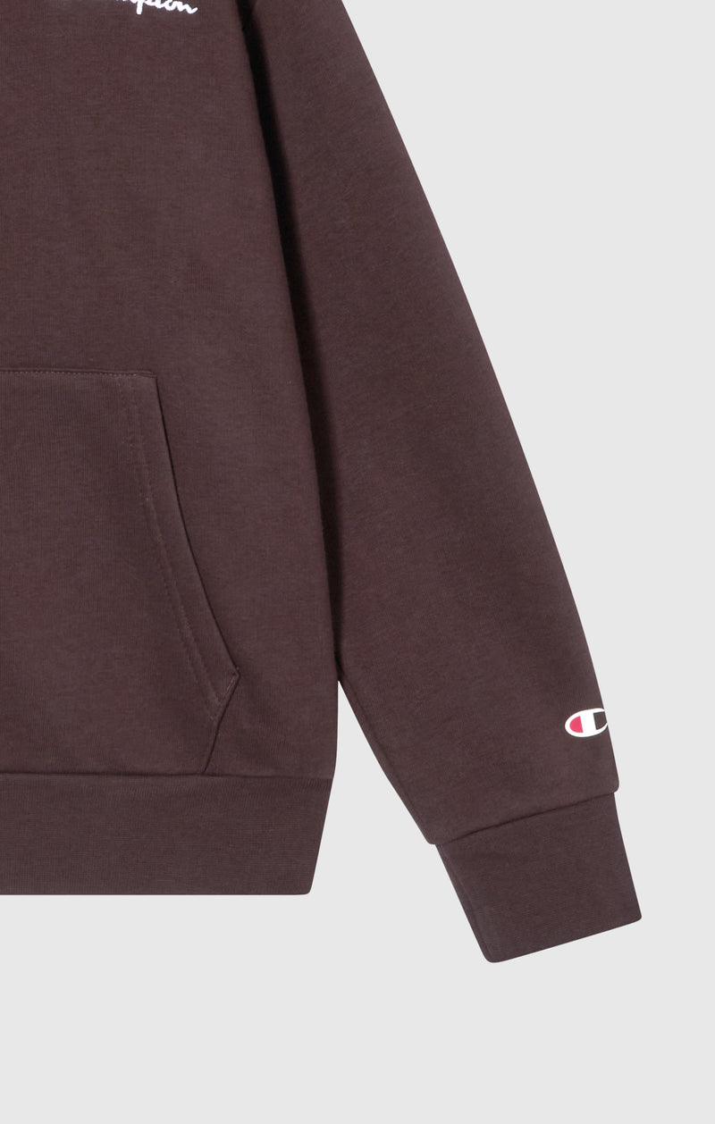 Kapuzenpullover Mit Angerautem Innenmaterial Und Kleinem Gesticktem Logo Icons Jungen