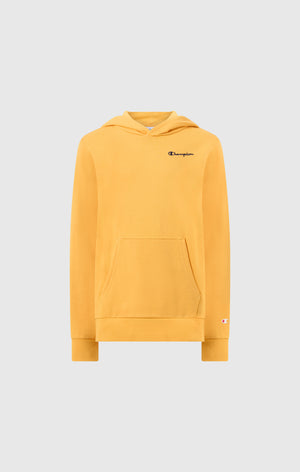 Boys’ Lightweight Hooded Sweatshirt Icons